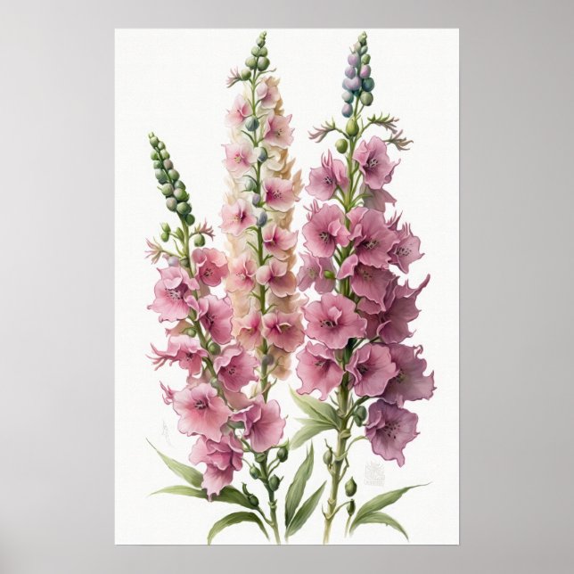 Poster de Impressão de Arte Flor Delfina Rosa (Frente)
