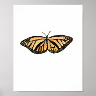 Poster de impressão de borboleta monarca