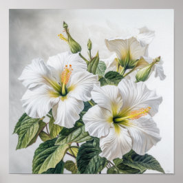 Poster de Impressão de Flor Branco Hibiscus