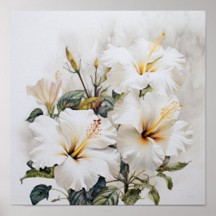 Poster de Impressão de Flor Branco Hibiscus