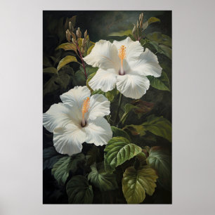 Poster de Impressão de Flor Branco Hibiscus