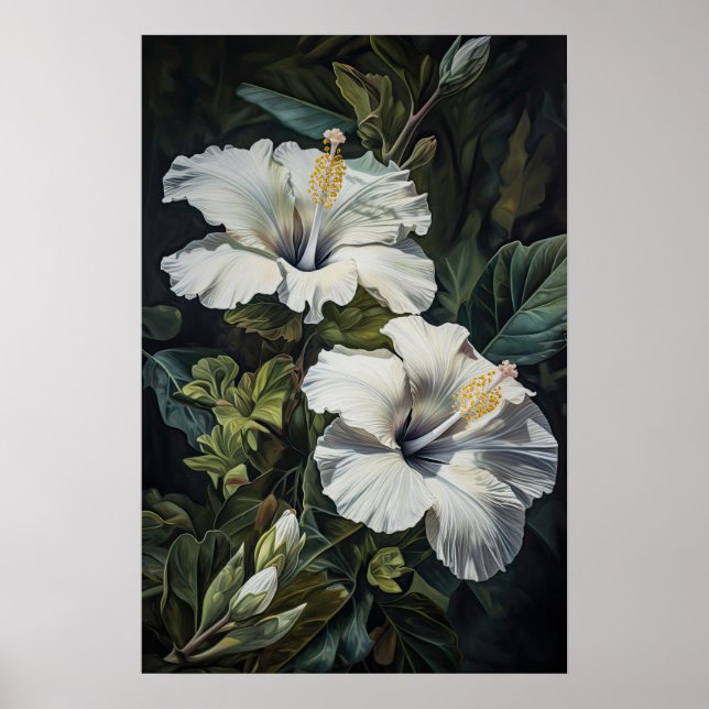 Poster de Impressão de Flor Branco Hibiscus (Frente)