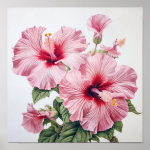 Poster de Impressão de Flor de Hibiscus Rosa