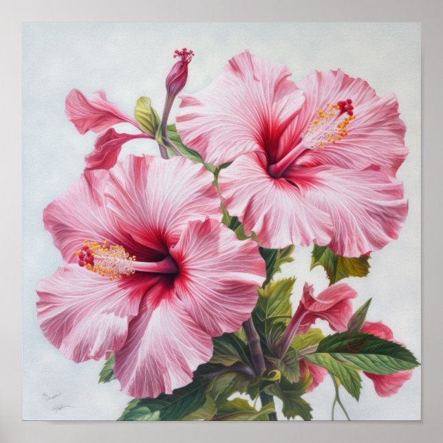 Poster de Impressão de Flor de Hibiscus Rosa (Frente)