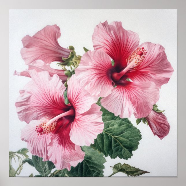 Poster de Impressão de Flor de Hibiscus Rosa (Frente)