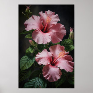 Poster de Impressão de Flor de Hibiscus Rosa
