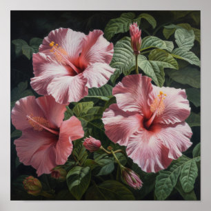 Poster de Impressão de Flor de Hibiscus Rosa