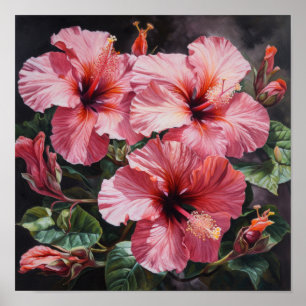 Poster de Impressão de Flor de Hibiscus Rosa