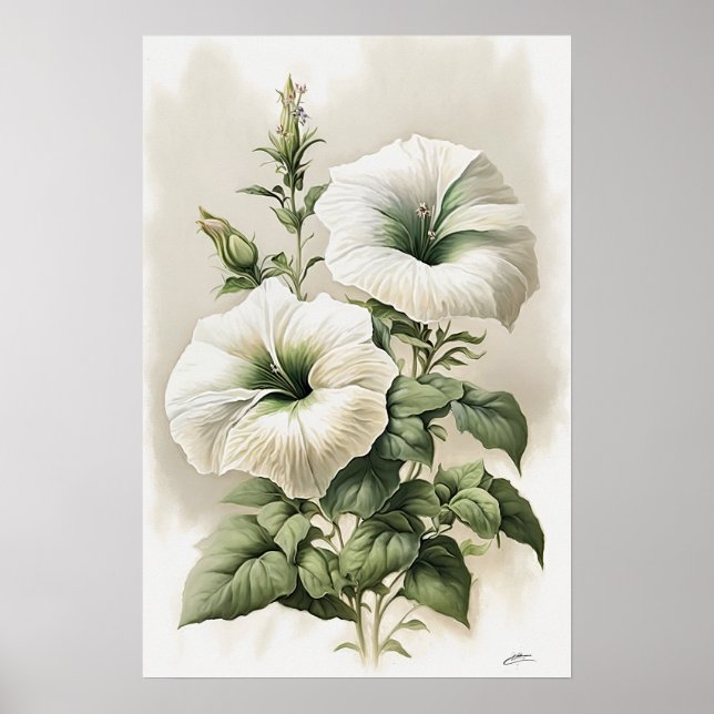 Poster de Impressão de Flor de Petunias Brancas (Frente)