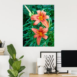 Pôster de Impressão de Foto de Flor de Lirio Duplo