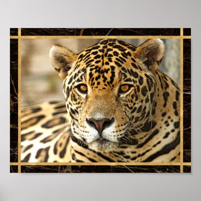 Poster de Impressão de Imagem de Foto Jaguar (Frente)