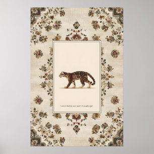 Pôster de impressão de Leopardo nebuloso andando N