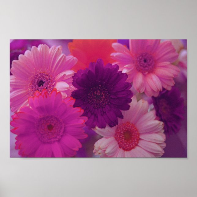 Poster de Impressão de Muros das Flores de Margari (Frente)