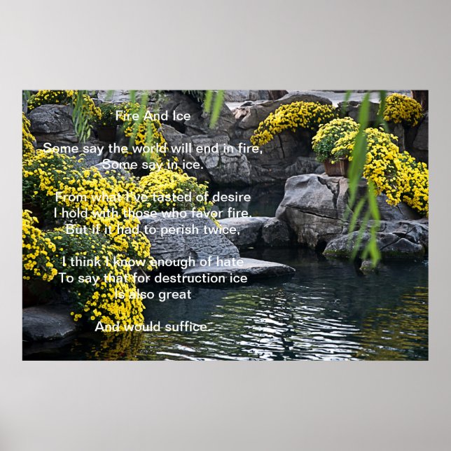 Poster De Incêndio E Flor De Gelo (Frente)