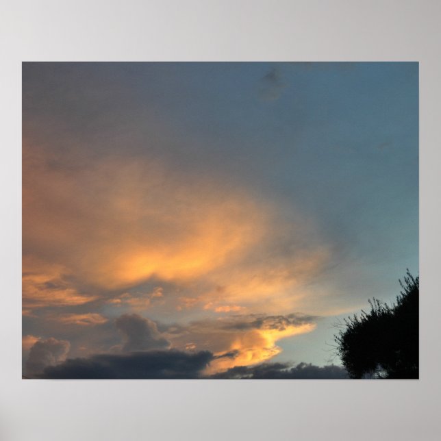 Poster de início novo (Frente)