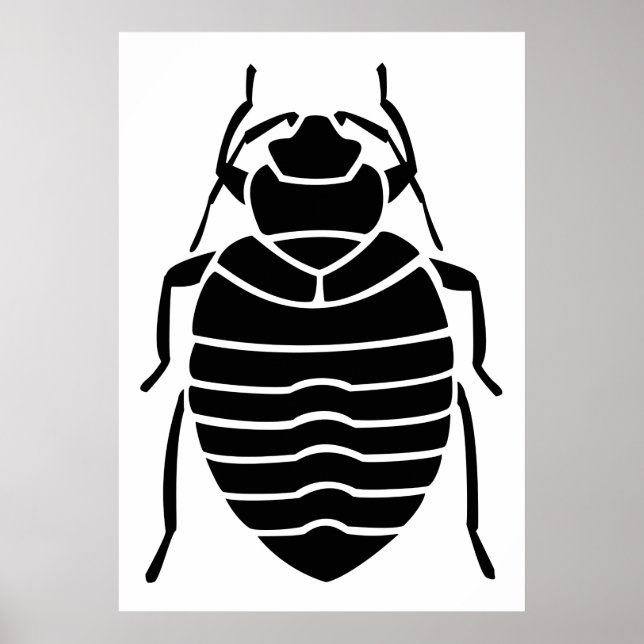 Poster de insígnia preta (Frente)
