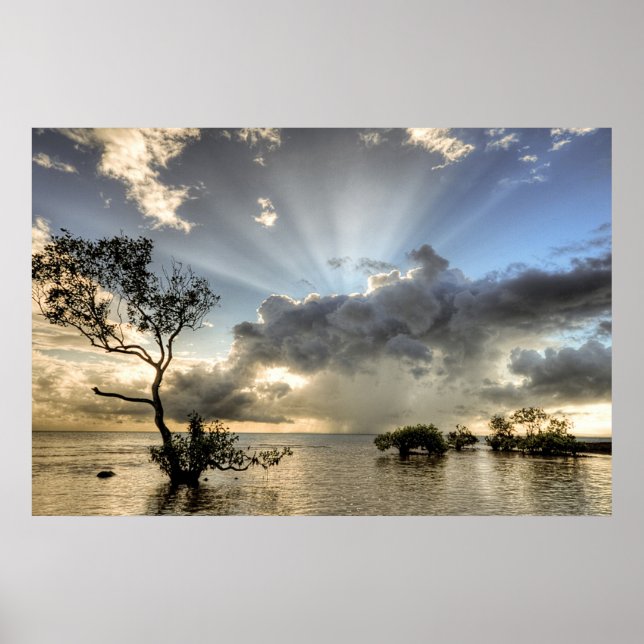 Poster de Inspiração e Calmação (Frente)