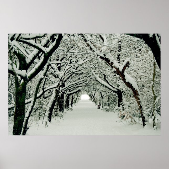 Poster de inverno (Frente)