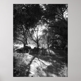 Poster de isolamento