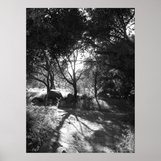 Poster de isolamento (Frente)