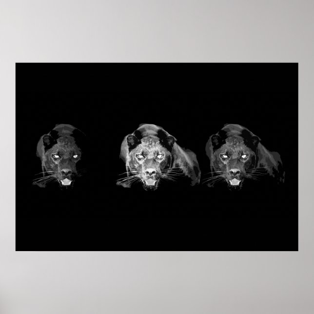 Poster de Jaguar Preto e Branco - Gatos Selvagens (Frente)