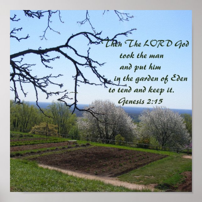 Poster de jardim (Frente)