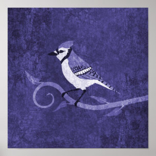 Poster de Jay azul