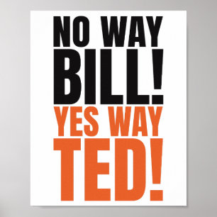Poster De jeito nenhum Bill Sim Jeito Ted - Citação engra