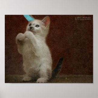 Poster de Kittie Bonita