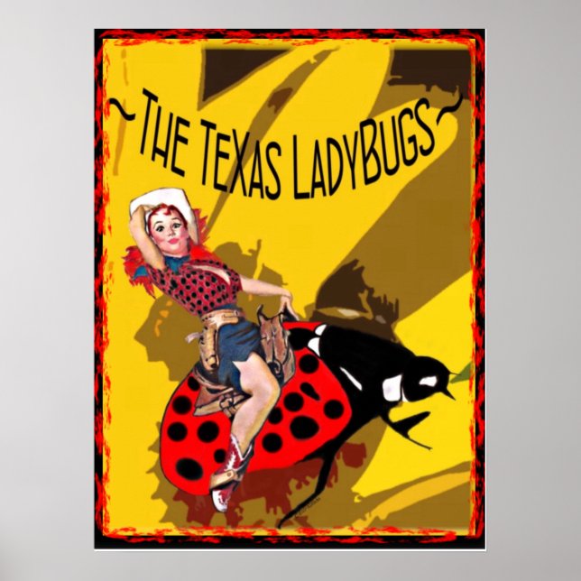 Poster de LadyBugs TX com Inseto Gatinho (Frente)