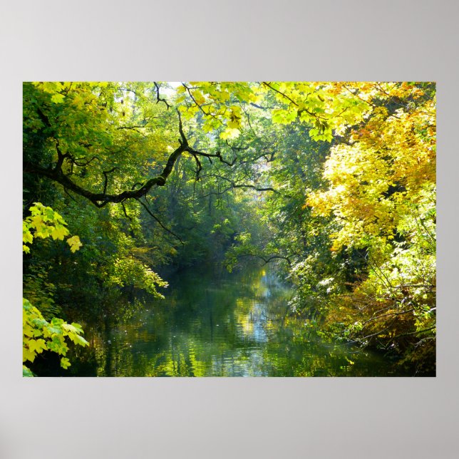 Poster de lago e árvores (Frente)