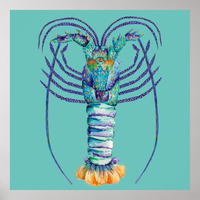 Poster de lagosta pintada da Austrália Ocidental (Frente)