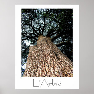 Poster de L'Arbre