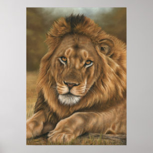 Poster de leão