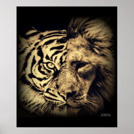 Poster de Leão Tigre 2in1