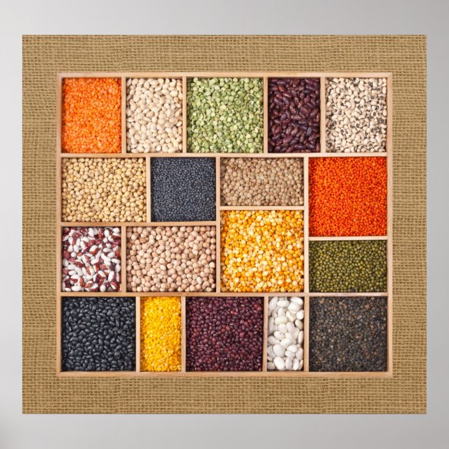 Poster de Leguminosas Adoráveis - SRF (Frente)