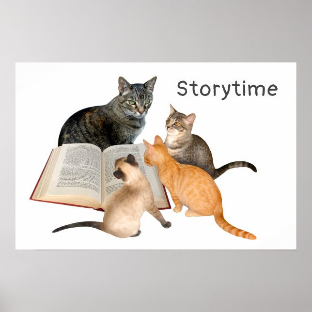 Poster de Leitura de Livros de Gatos (Frente)