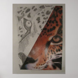 Poster de Leopardo