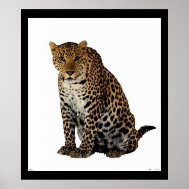 Poster de Leopardo (Frente)