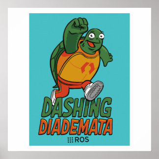 POSTER de liberação de diademata de liberação do R