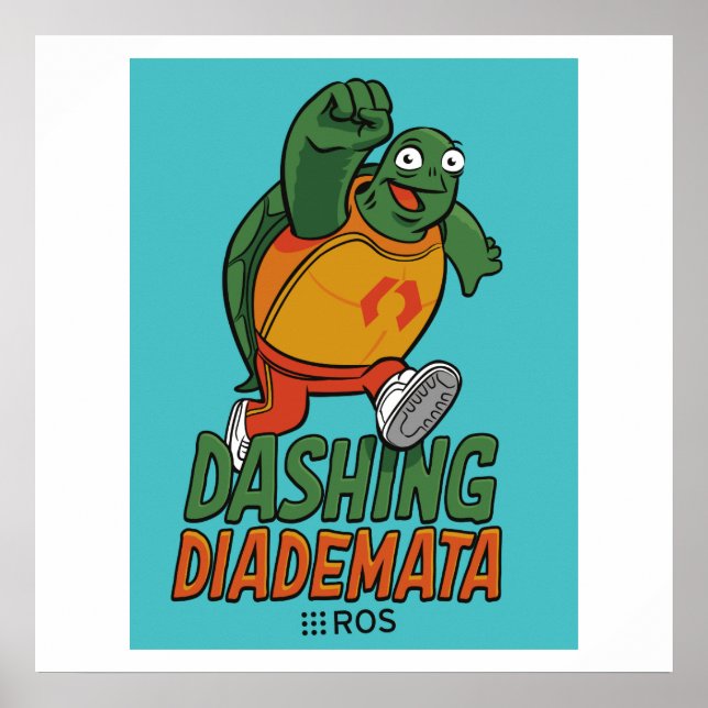 POSTER de liberação de diademata de liberação do R (Frente)