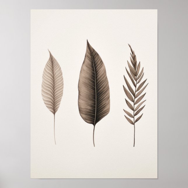 Poster de licença limpa moderna elegante (Frente)