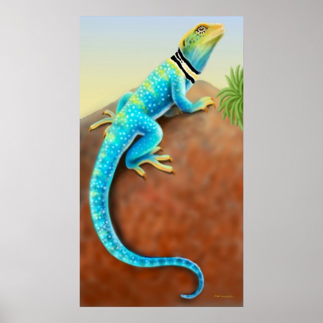 Poster de Lizard Collared Oriental (Frente)