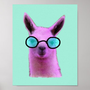 Poster de Llama Rosa legal
