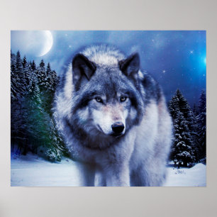 Poster de Lobo