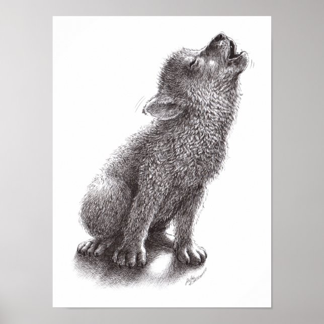 Poster de Lobo ou Cão (Frente)