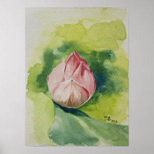 Poster de Lotus da aguarela