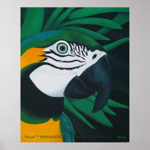 Poster de Macaw