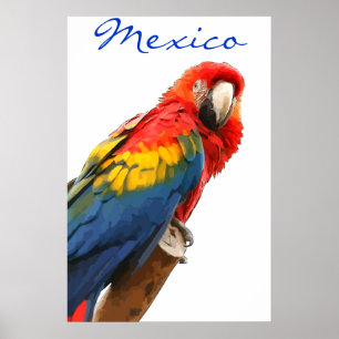 Poster de Macaw no México