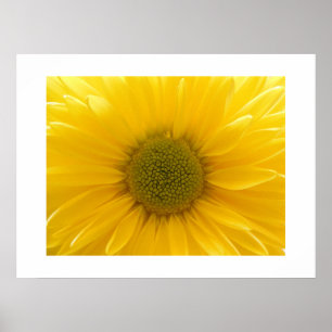 Poster de Mãe amarela